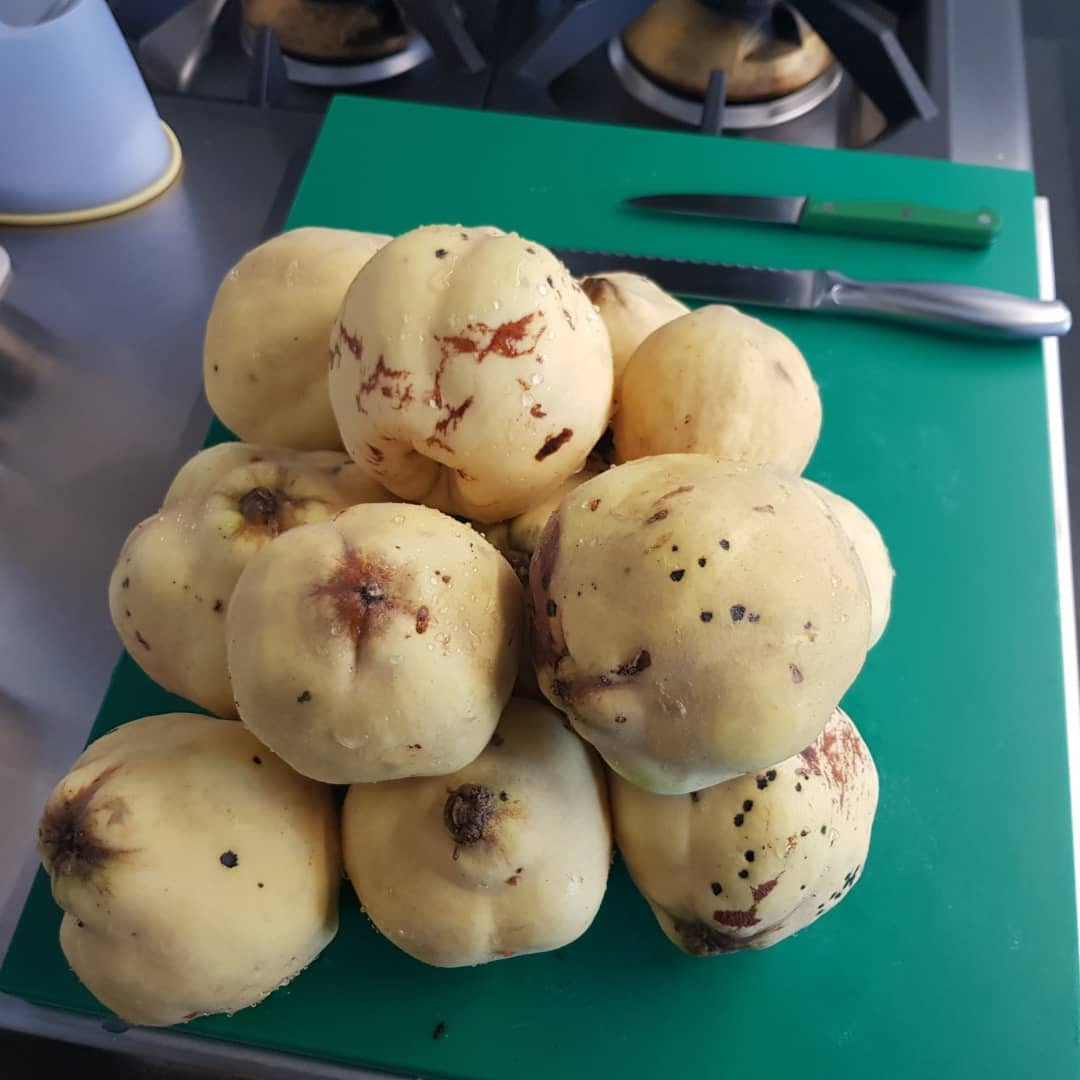 Bastidores da Casa da Laje — preparação